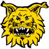 伊斯韋斯 logo