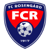 洛辛加特女足 logo