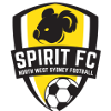 NWS精神 logo
